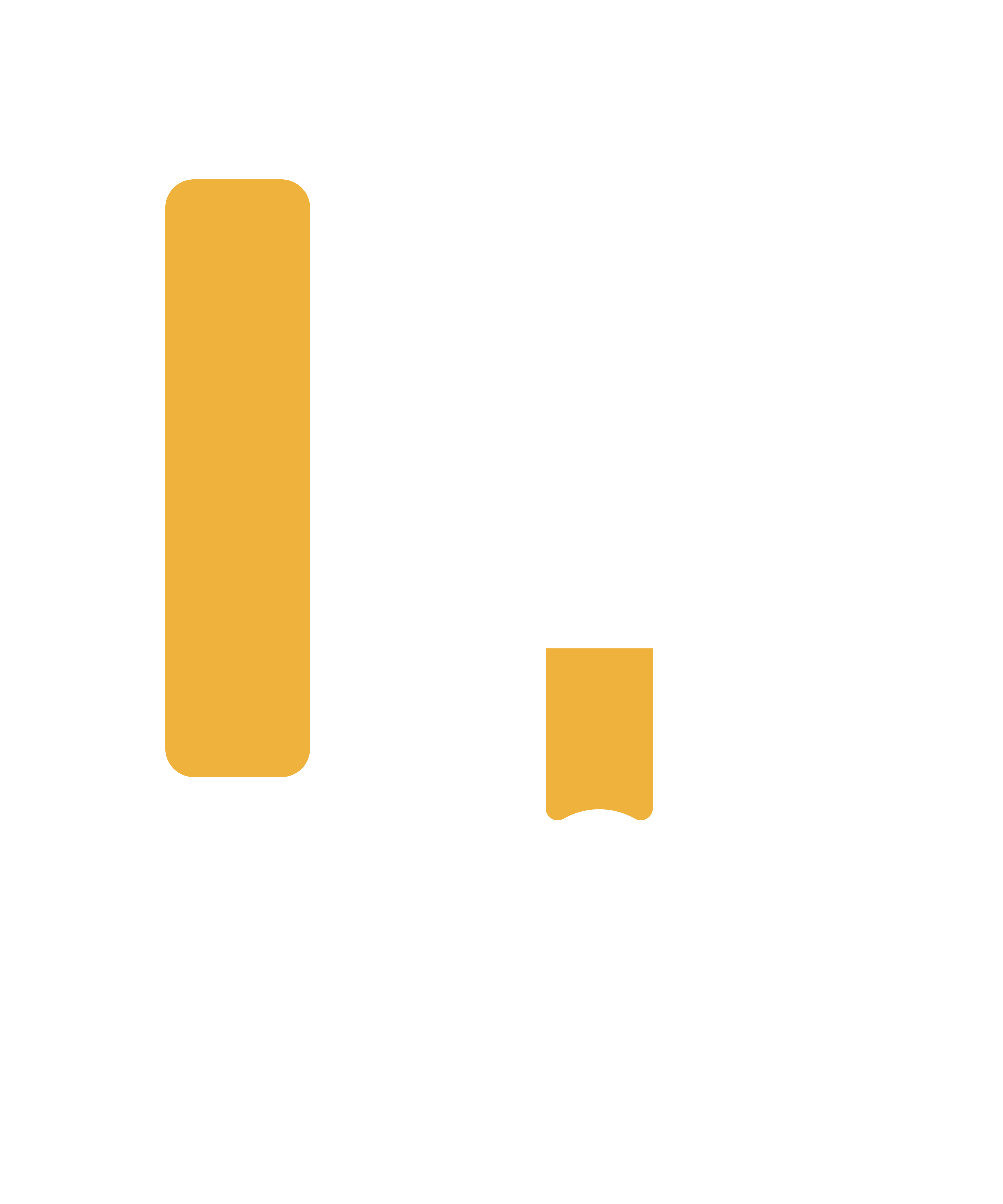 pinnacle logo white