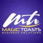 MT Business Solutions logo